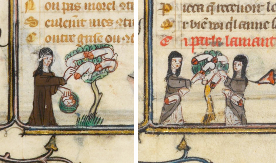  nuns and the penis treeRoman de la Rose, France 14th century. Paris, Bibliothèque