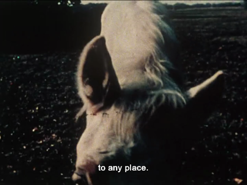 lostinpersona:Lost, Lost, Lost, Jonas Mekas (1976)