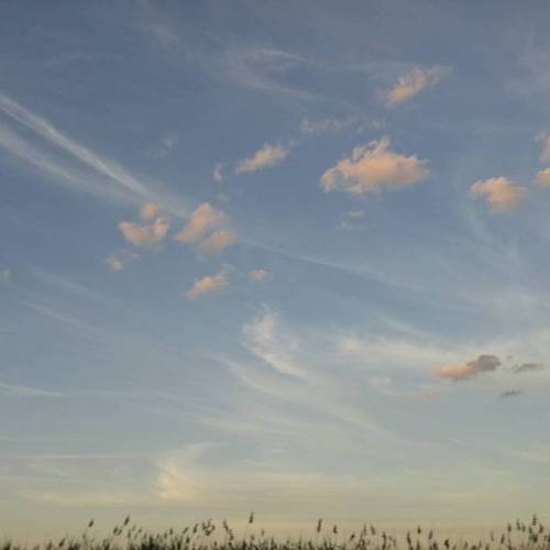 Take me away. . . . . . #skygazing #skygazer #sky #sky☁ #scenery #sceneryporn #instagood #clouds #NY