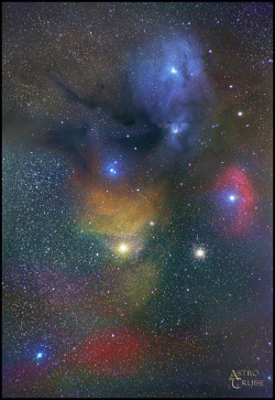 N-A-S-A:  Antares &Amp;Amp; Rho Ophiuchus Region Credit: Philip Perkins