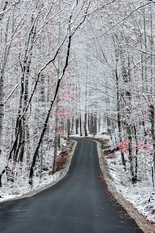 sublim-ature:Gatlinburg, TennesseeJeff Wiggins