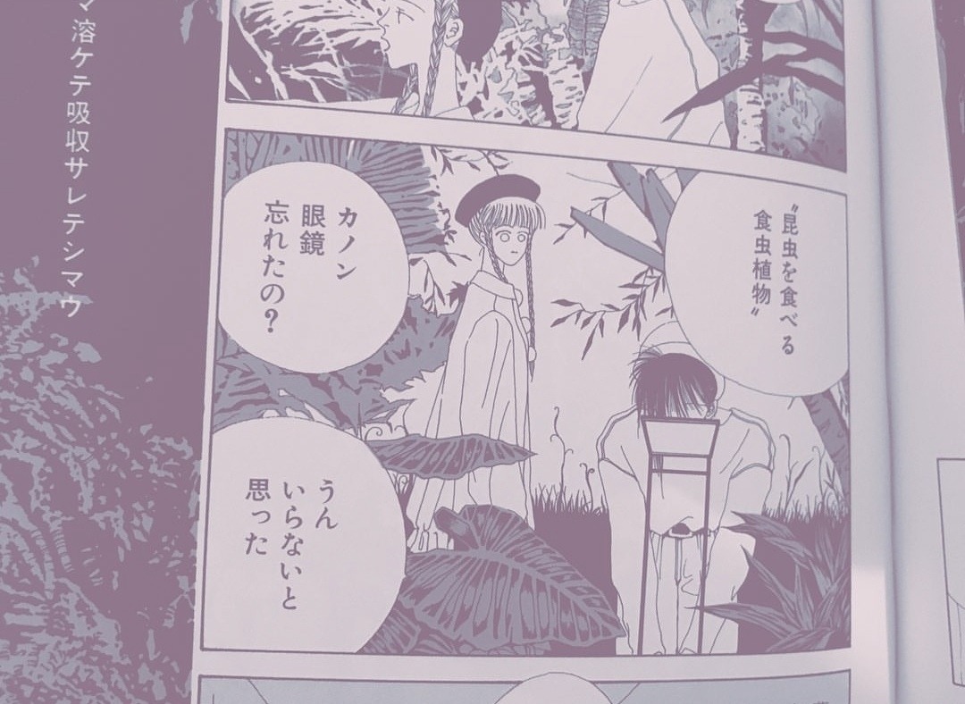 楠本まき Explore Tumblr Posts And Blogs Tumgir 楠本まき Explore Tumblr Posts And Blogs Tumgir