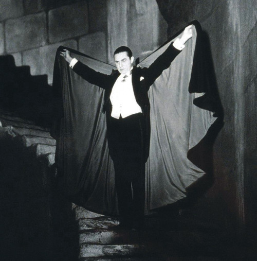 horrorandhalloween:Fruit bats vs Bela Lugosi