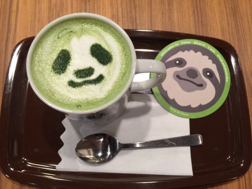 Shirokuma Cafe!