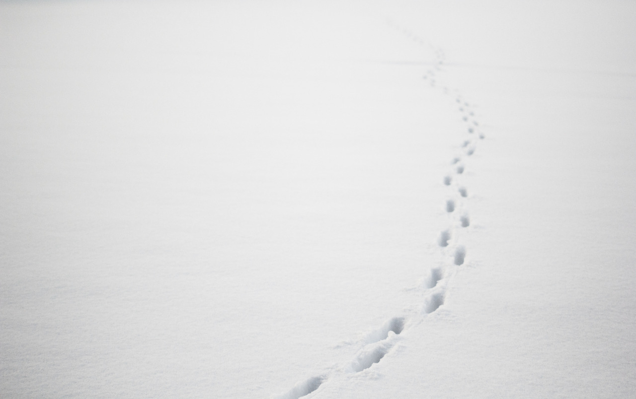forndom:  Vandrare I, II, III, IV, V© Forndom