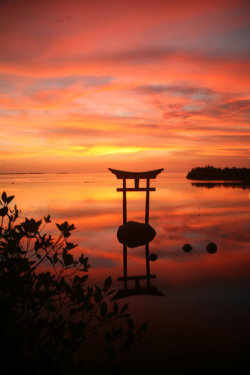 mistymorningme:  2008 July 11 Torii Vertical by *Studio4496 