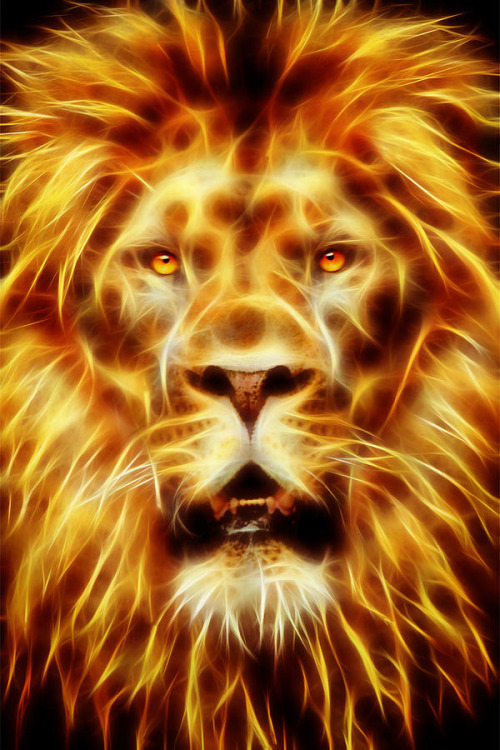Revelation 5