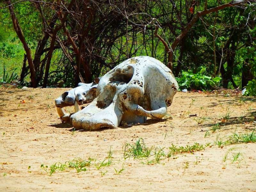 Botswana Ist Ein Weites Binnenland Mit Einem Umfang Von Circa 582 000 Quadratkilometern. Zwei Drittel