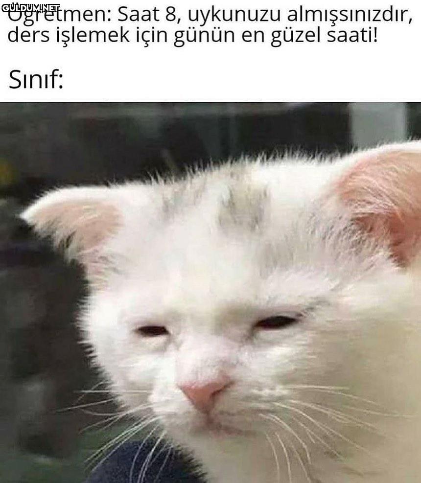 Öğretmen: Saat 8, uykunuzu...