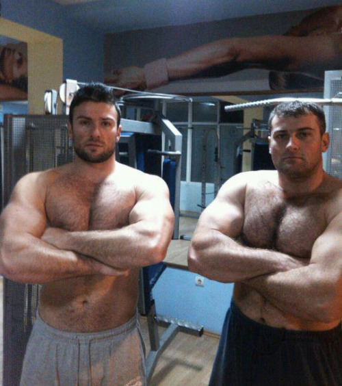 serbian-muscle-men: Hairy brothers wrestling in Turkish bath Go on❣️❣️