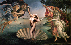  The Birth Of Venus 