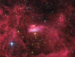 the-wolf-and-moon:  Pismis 24 in Scorpius