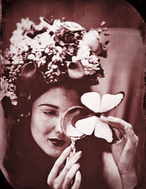 Butterfly Collector Series with Neptunian Haze 1.2014ambrotype on ruby glass