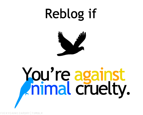 aviculor:A lot of people have reblogged this because of some argument about veganism. but I’d like t