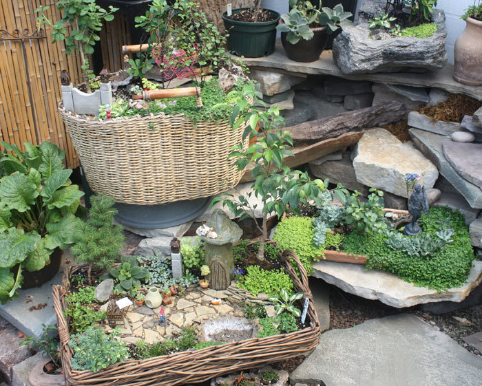 a-mini-a-day:  Nice container ideas from Oak Park Water Garden 