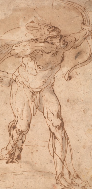 Hercules Shooting His Bow by Luca Cambiaso Italian, 1544-1550grey-brown ink on brown paperMuseo del 