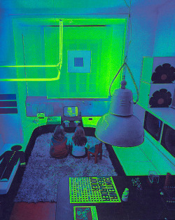 Follow http://onrepeattttt.tumblr.com/ for regular doses of neon images