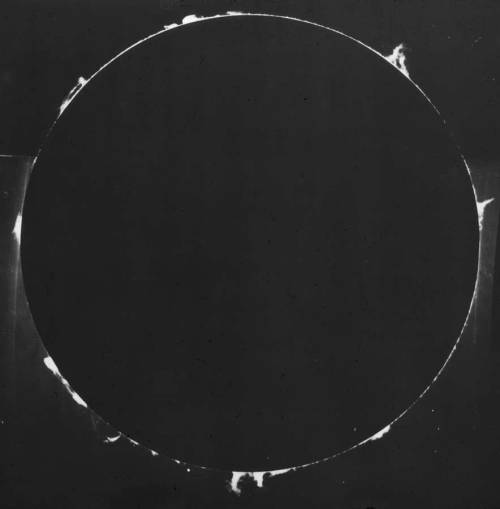 spectral-insomnia:  Yerkes Observatory - Solar Prominence Around Entire Disk - 1916 