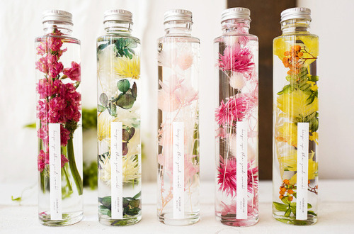 inkxlenses:Herbarium | © SNUG & CO
