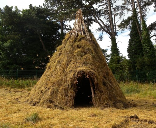 Mesolithic house reconstruction at UCD, Dublin A wonderful archaeological reconstruction from my UCD