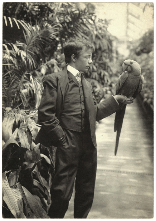 Theodore Roosevelt Jr. with Eli Yale, a hyacinth macaw, in the White House conservatory. 1902.