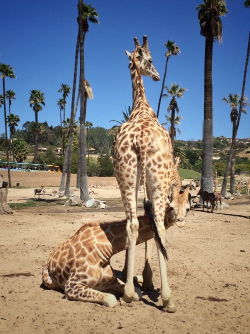 Hide and Seek (photo by Amanda Lussier)