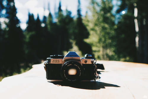 thecraziethewizard:  by Jeremiah Probodanu