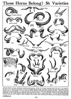 At first glace I thought that it was a mustache chart