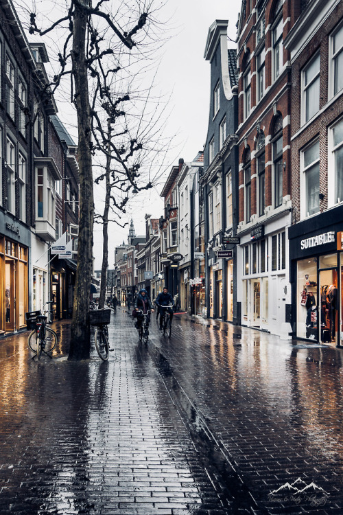 visionsandvistas:Streets of Haarlem