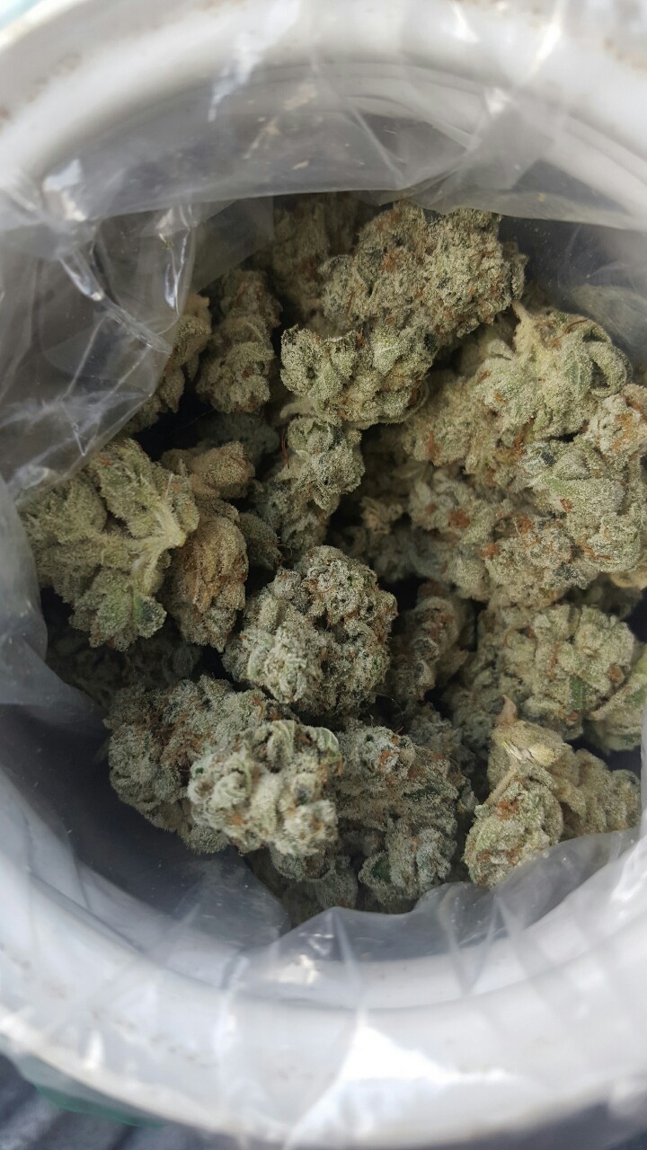 treesncans:May your jar always be full