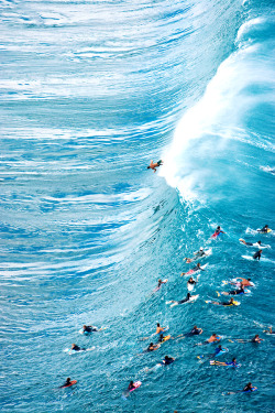 surf4living:  out. ph: sean davey 