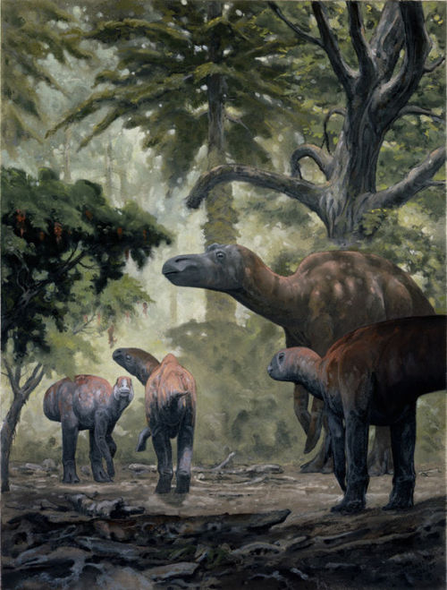 Maiasaur by Doug Henderson