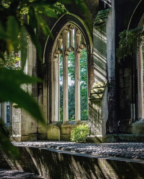 florealegiardini: ☀️Early Morning sun in St. Dunstan I’m the east church ruins. London.☀️~ Lun