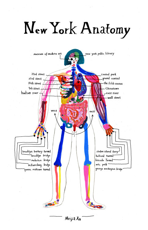 Meijia Xu aka Xu Meijia aka 徐美佳 (Chinese, b. China, based New York, NY, USA) - New York Anatomy, Dra