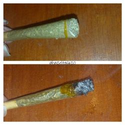 hazeltail420:  My first twax joint #weed #pot #marijuana #cannabis #ganja #cannabisconcentrates #wax #joint #joints #waxjoint #twaxjoint #weedporn #dank #420 #710 