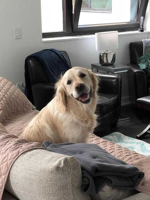 awwww-cute:  Sometimes I catch her just staring and smiling at me. She’s my precious love. (Source: https://ift.tt/2GZ1HeD)