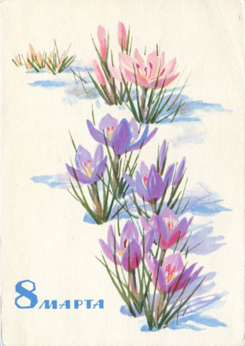 sovietpostcards:Flowers!N. Korobova, 1987N. Kirpichyova, 1966T. Sazonova, 1960N. Ponomaryov, 1963Yu.