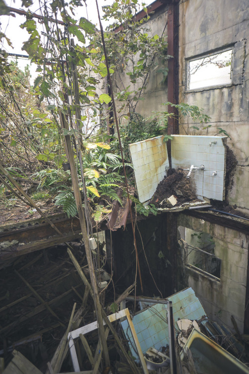 elugraphy:Abandoned hotel with jungle bathroom 01.