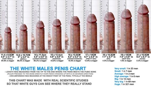 almost5: smallpenisreactions: Where do you all land Is this chart correct I’m small So where does ev