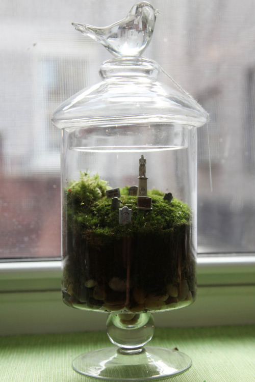 ofmiscellany:  Cemetery Moss Terrarium by Twig Terrariums 