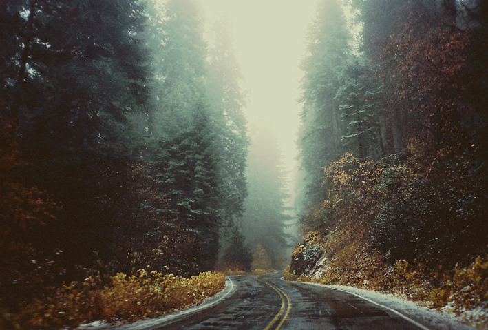 A Nature Blog