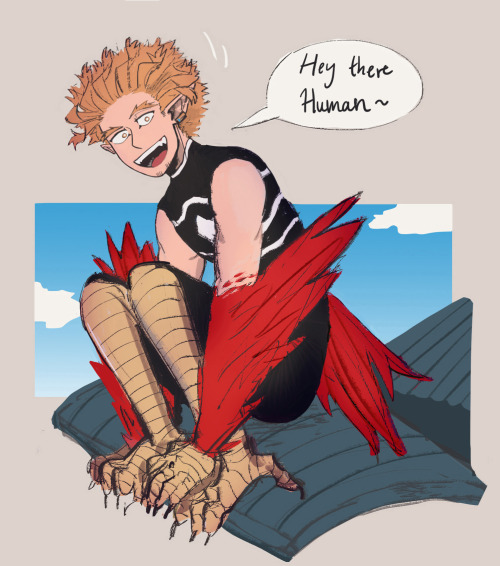 harpy!hawks drawings from the last few days :D