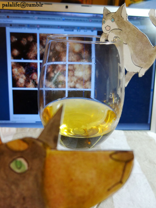 palalife: And one more:  Happy New Year everyone! That’s the ice wine I got from Canada, 