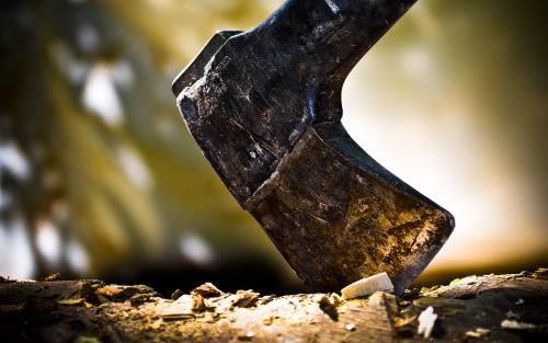 bigwordsandsharpedges:  compassum:  Axe it.  This looks like a well-used Fiskars hatchet. I have one, and it is glorious. 