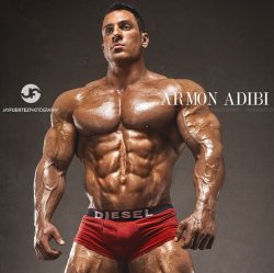 musclegazer:Armon Adibi by Jay Fuertez