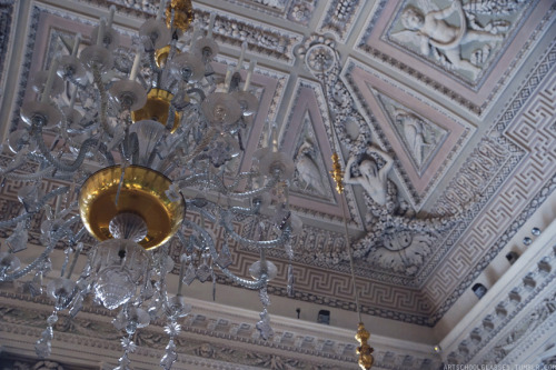 artschoolglasses:  Ceilings in the Pitti Palace.