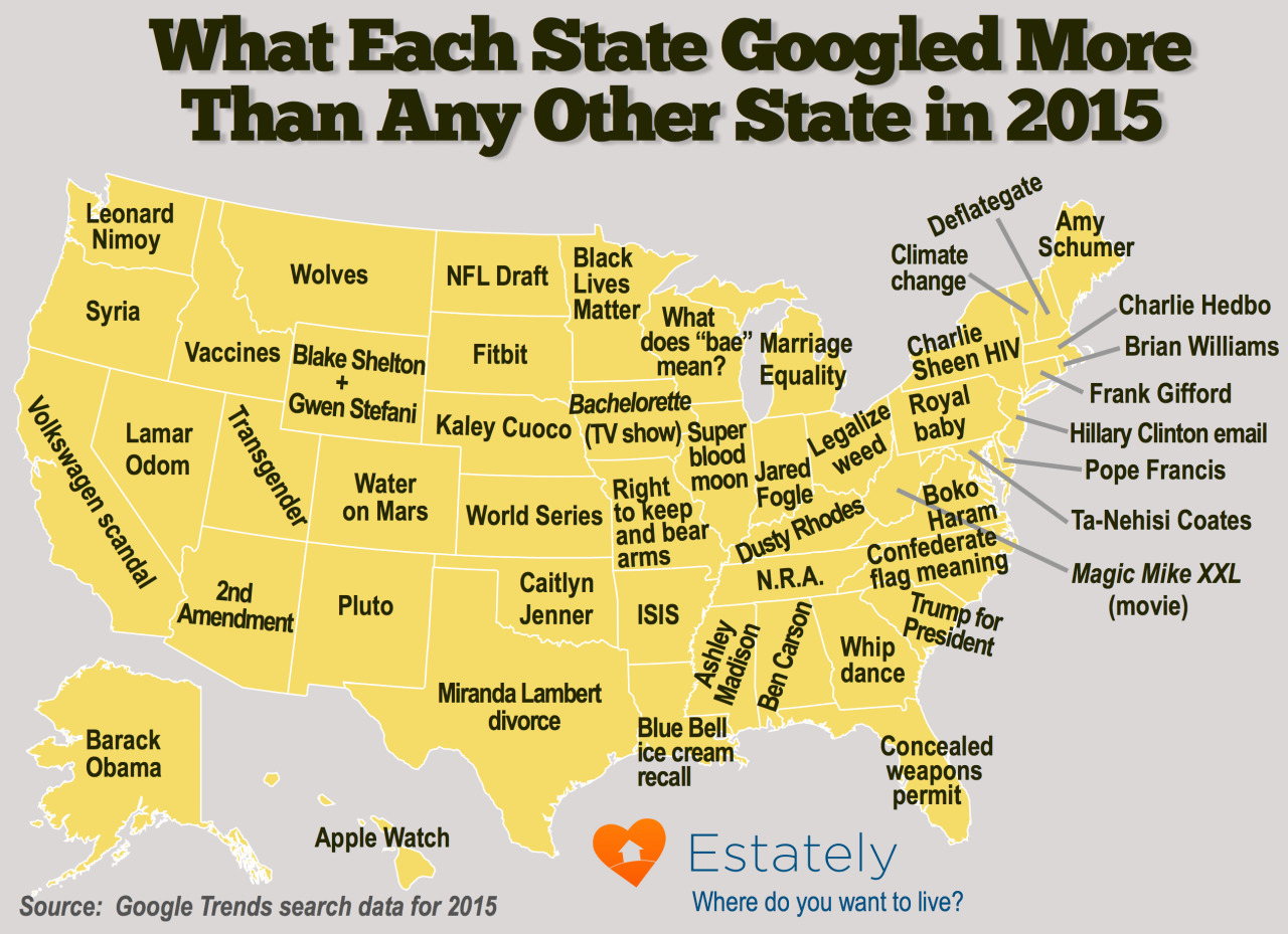 drankinwatahmelin:  estately:    What Each State Googled More Than Any Other State