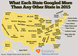 Drankinwatahmelin:  Estately:    What Each State Googled More Than Any Other State