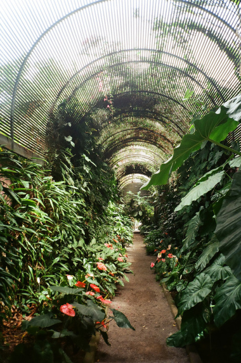 botanic garden