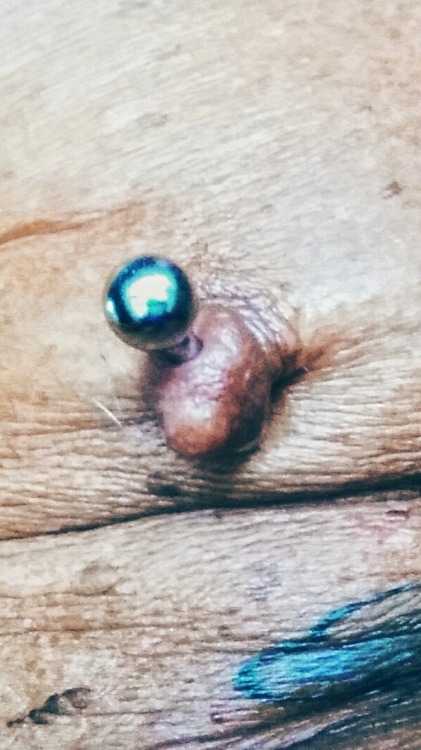 richardsdicks:  My pierced nips
